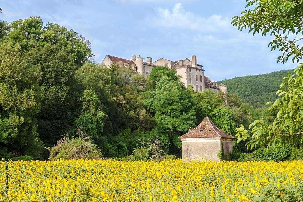 Brit Hotel Cahors - Le France Bagian luar foto
